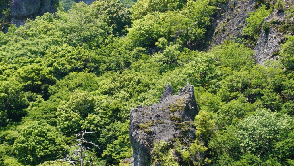 寒霞溪山頂索道纜車 Totoro石